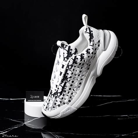 dior sneaker b24